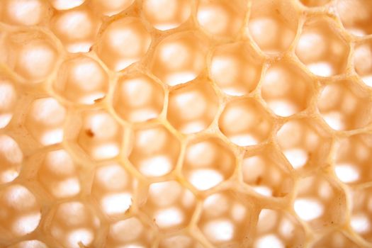 natural honey texture without honey (abstract background)