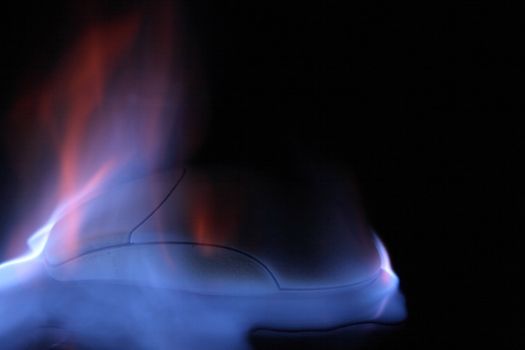 mouse in the fire on the black background