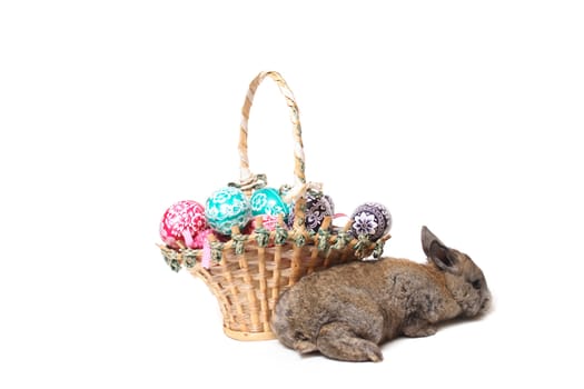 easter decoration isolated on the white background 