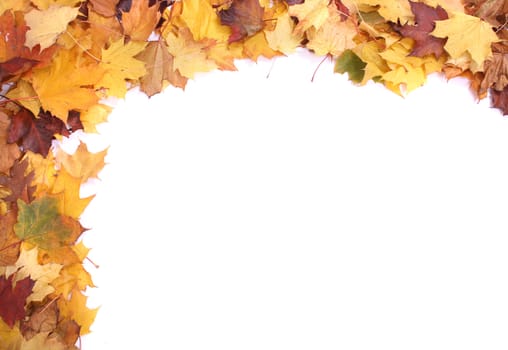 very nice yellow and brown autumnal leaves background