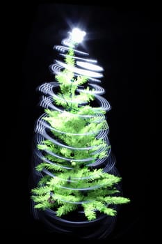 christmas tree isolated on the black background