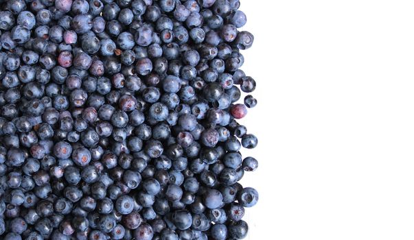 very nice fresch blueberries natural food  background 