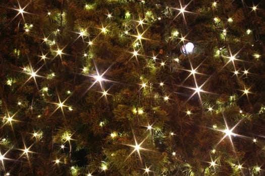 xmas tree (lights) as christmas background