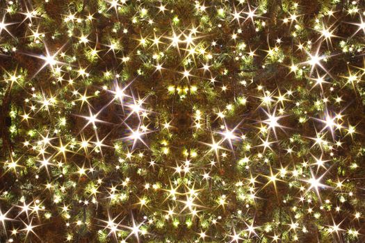 xmas tree (lights) as christmas background