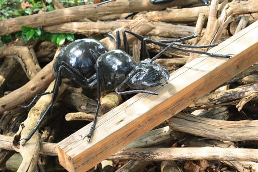 nice statue of black ant from the Prague ZOO