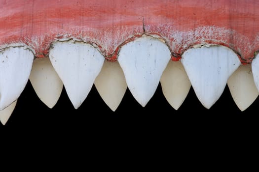 big shark mouth as nice animal background