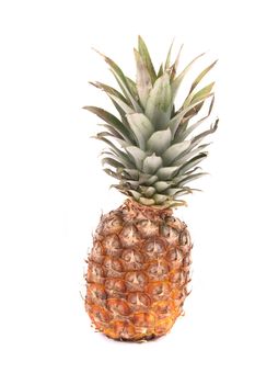 big fresh pineapple on the white background