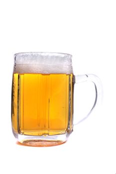 gold beer isolated on the white background