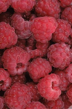 fresh raspberries as very nice red food background