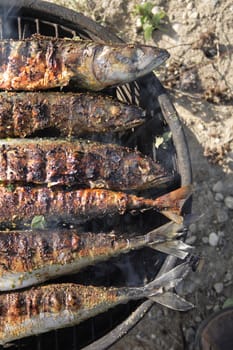 fresh grilled fishes as natural food background