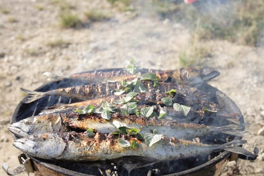 fresh grilled fishes as natural food background