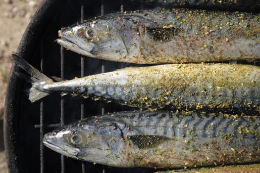 fresh grilled fishes as natural food background