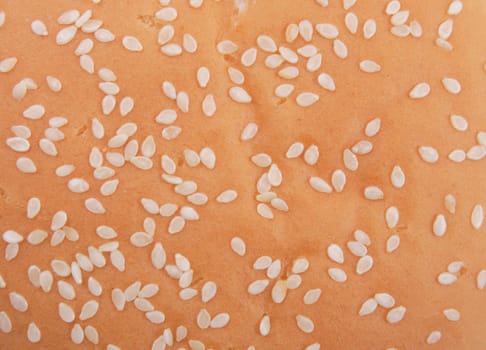 hamburger with sesame seeds as nice food background 