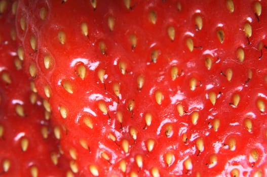 red natural strawbery texture as food background