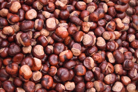 nice autumn background from the fresh chestnuts