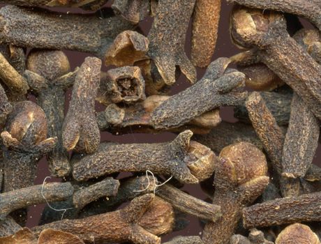 brown clove texture as special spice background