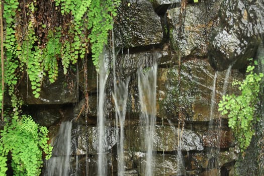 very nice natural waterfall background from garden 