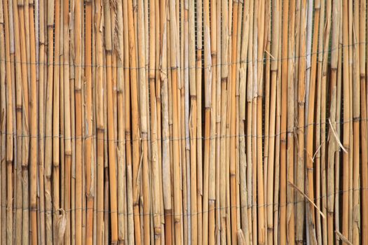 very nice and old bambus natural texture 