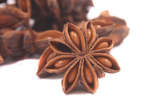 anise star isolated on the white background 