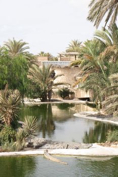 very nice crocodile farm in the Tunisia