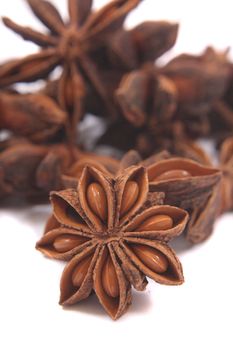 spice (anise star) on the white background