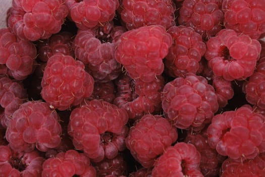 very nice dark red natural raspberries background