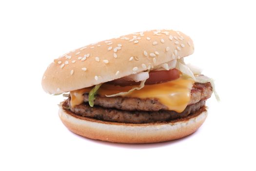 nice hamburger isolated on the white background