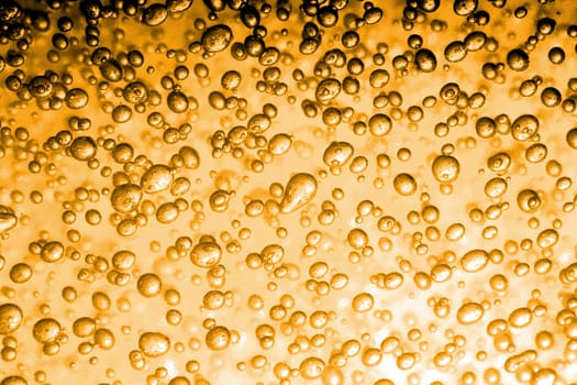 bubbles in the glass of fresh beer