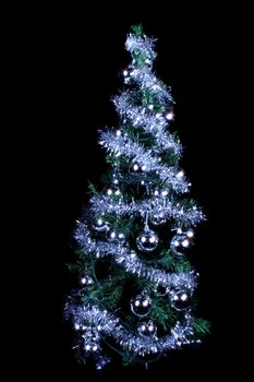 christmas tree isolated on the black background