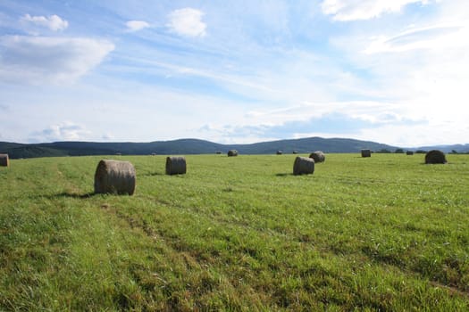czech summer country with the green grass