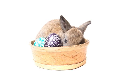small easter rabbit on the white background 