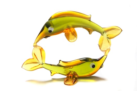 fishes from the glass on the white background 