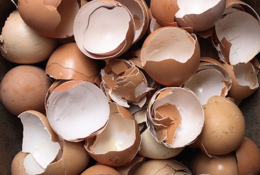 easter background from the brown  empty eggshells 