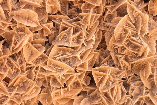 brown rose from sahara - typical mineral background 