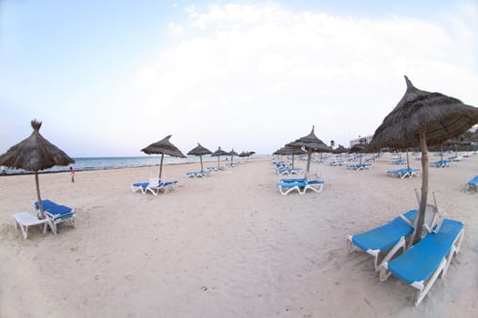 beach  in the tunisian hotel in africa