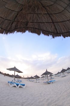 beach  in the tunisian hotel in africa