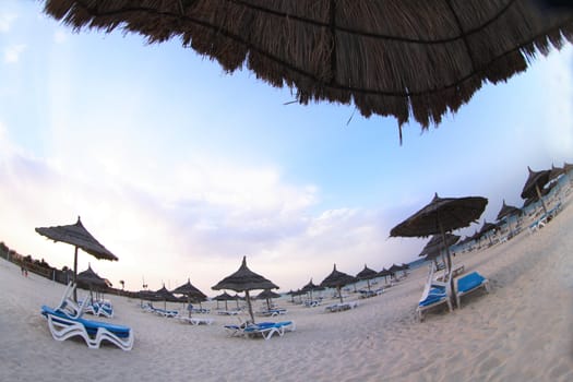 beach  in the tunisian hotel in africa