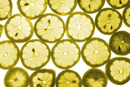 yellow lemon slices on the white background
