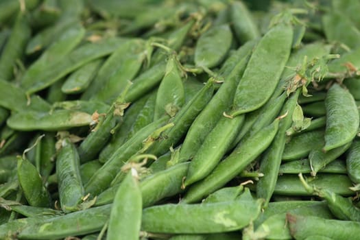 fresh pea background from the supermarket 