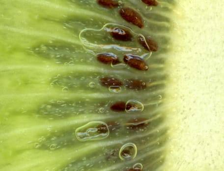 very nice fresh kiwi background macro shot 