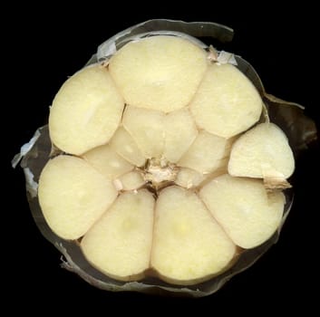 half of garlic isolated on the black background 