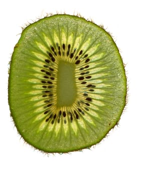 slice of fresh kiwi  on the white background