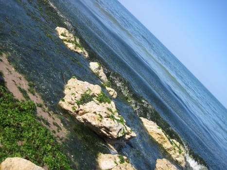 very nice sea with green plants in the bulgaria