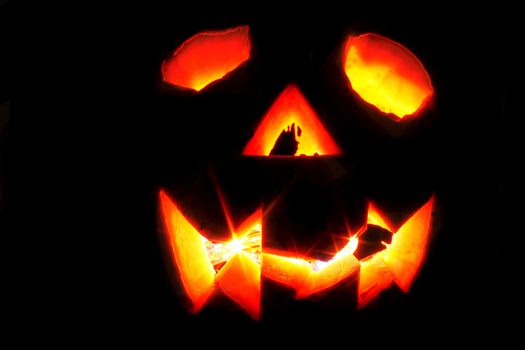 halloween pumpkin isolated on the black background