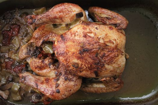 grilled chicken as very nice food background