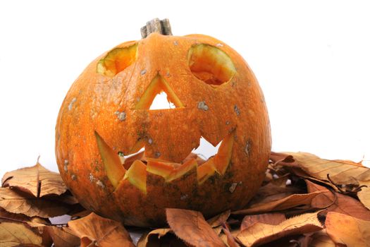 halloween pumpkin isolated on the white background