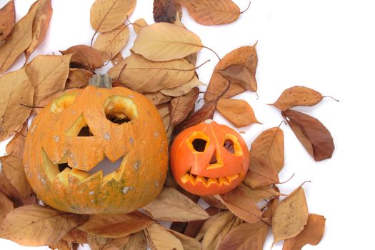 nice halloween pumpkin isolated on the white background