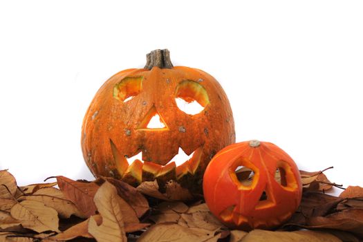 halloween pumpkins isolated on the white background