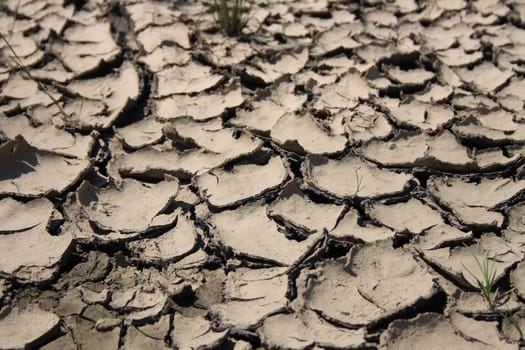dry land as very nice natural background