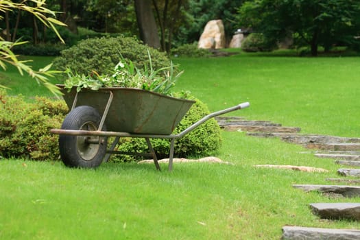 steel wheelbarrow in the spring green park 